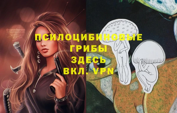 MDMA Premium VHQ Алексин