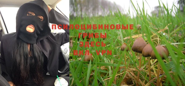 таблы Алзамай