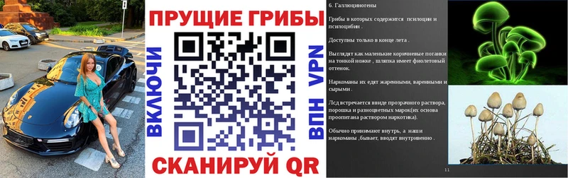 Псилоцибиновые грибы Magic Shrooms  закладки  Тулун 