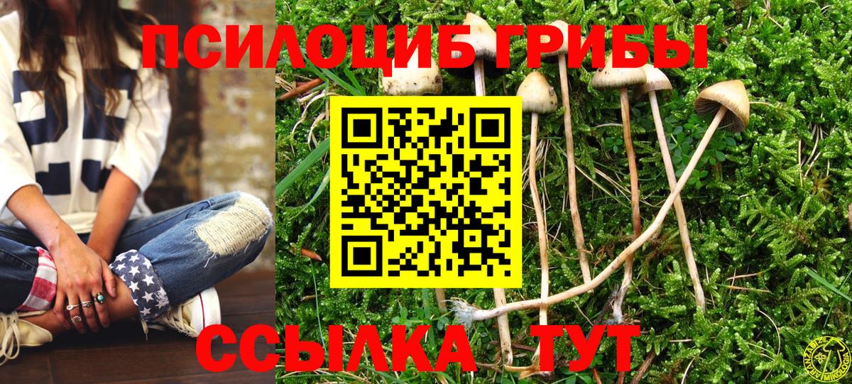 Галлюциногенные грибы мухоморы Тулун